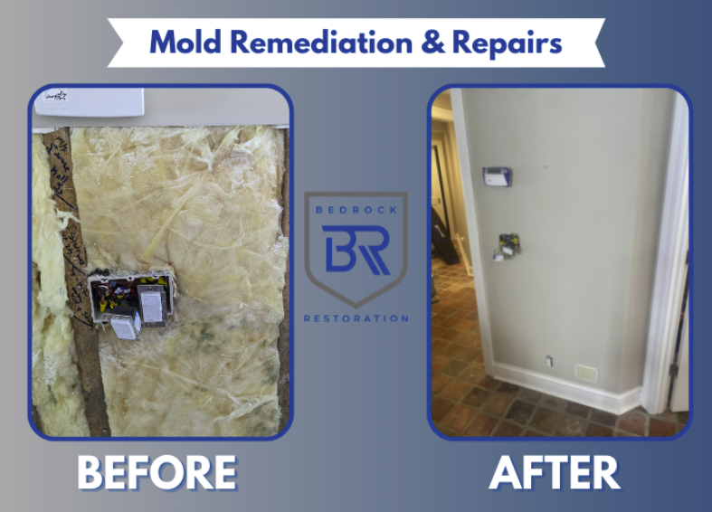 Before and after mold remediation