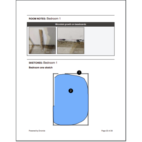 insurance-2